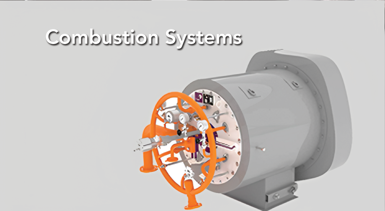 Combustion Systems